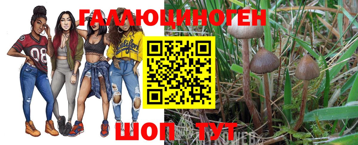 Псилоцибиновые грибы Psilocybe  Псилоцибиновые грибы MAGIC MUSHROOMS  Вход с VPN  Комсомольск-на-Амуре 